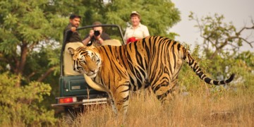 Golden Triangle Ranthambore Tour India